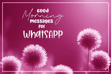 35+ Good Morning Messages for WhatsApp