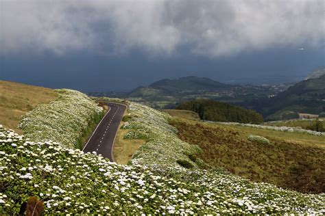 Img Faial Jutta Monhof Flickr