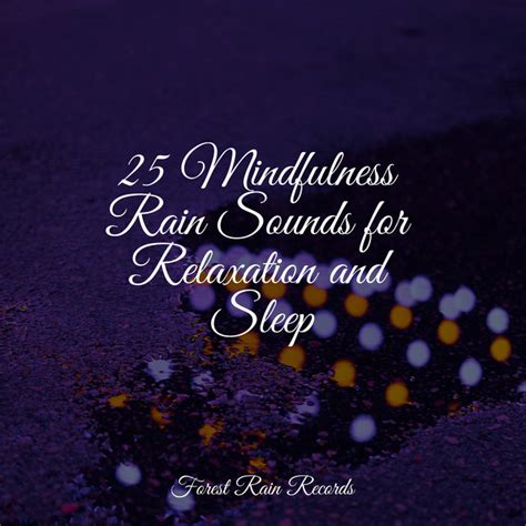 25 Mindfulness Rain Sounds For Relaxation And Sleep Album By Spa