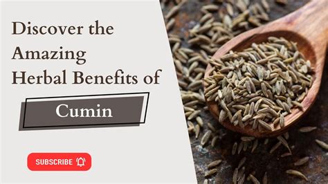 Unlocking The Power Of Nature Discover The Amazing Herbal Benefits Of Cumin Health N Herbals