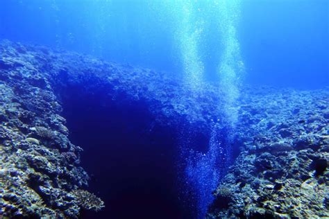 Microbes Survive Deep Below The Seafloor At Temperatures Up To C