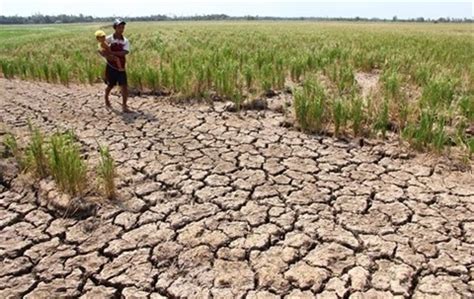 Le delta du Mékong sera confronté à la salinité et aux sécheresses