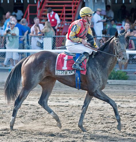 Gulfstream Park Kenneally S Pair The Ones To Beat In Friday Sprint