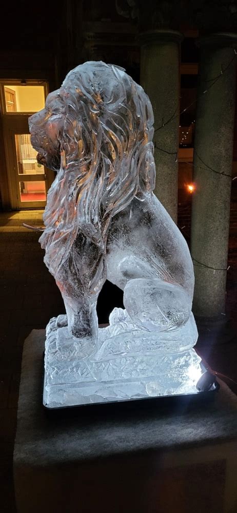 Aslan The Lion | Passion For Ice