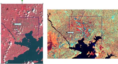 False Colour Composition In This Figure The Two Landsat Images