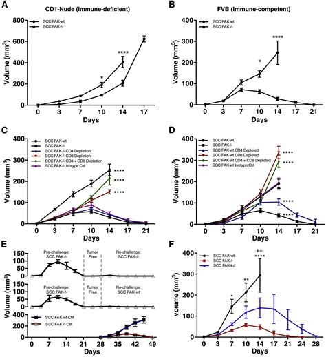 Nuclear Fak Controls Chemokine Transcription Tregs And Evasion Of Anti Tumor Immunity Cell