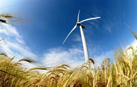 Wallpaper field, power, energy, wind, wind turbine images for desktop ...