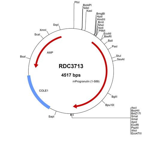 Mouse Progranulin NP 032201 3 VersaClone CDNA RDC3713 R D Systems