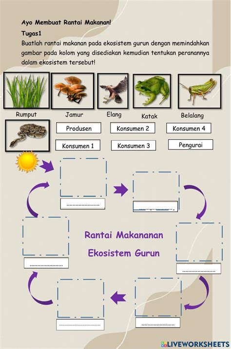 Lkpd Ipa Rantai Makanan Selviari Worksheet Live Worksheets