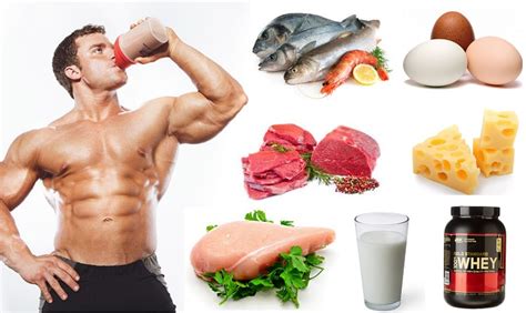 Best 5 Proteins For Building Muscle Bodydulding