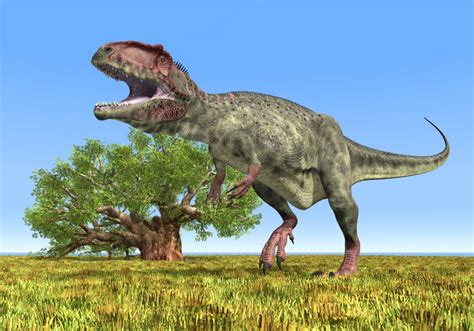 ギガノトサウルスgiganotosaurus 恐竜図鑑