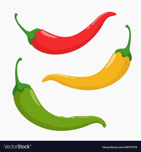 Pepper Royalty Free Vector Image - VectorStock