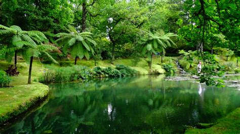 Terra Nostra Is One Of The Most Beautiful Gardens In The Azores