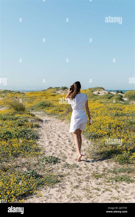 Back View Of Barefoot Woman In Dress Walking On Sand Near Flowers On