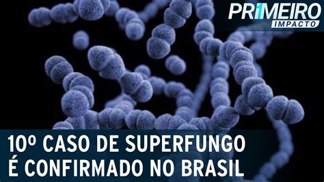 Superfungo Pernambuco confirma 10º caso no Brasil Primeiro Impacto