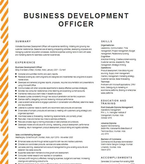 Business Development Officer Resume Example