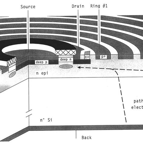 Cross Section Of The Voltage Divider A And Of The Remaining Detector