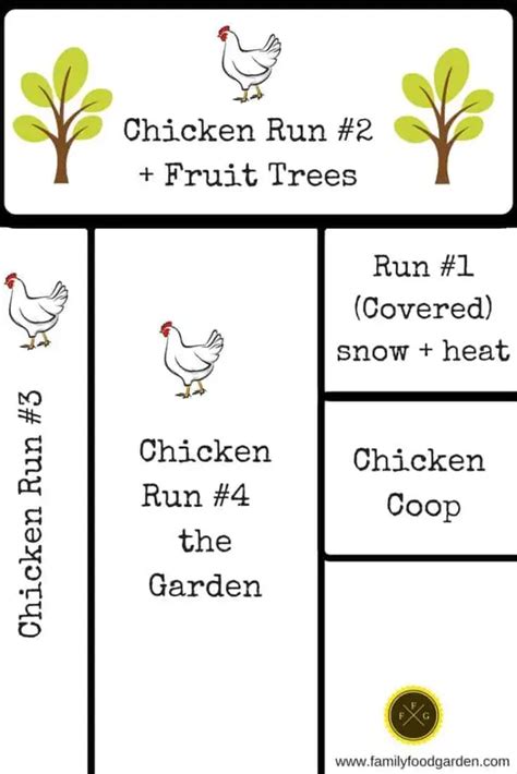 Backyard Chicken Runs And Designs Around The Garden