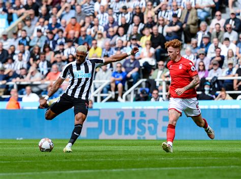 Joelinton And Bruno Star Newcastle Player Ratings Vs Nottingham Forest