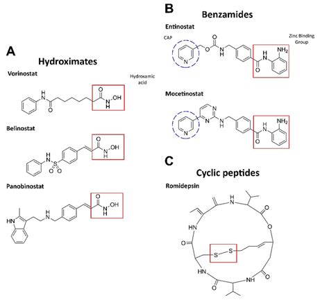 Structures Of Hdac Inhibitors A The Active Group Is Hydroxamic Acid