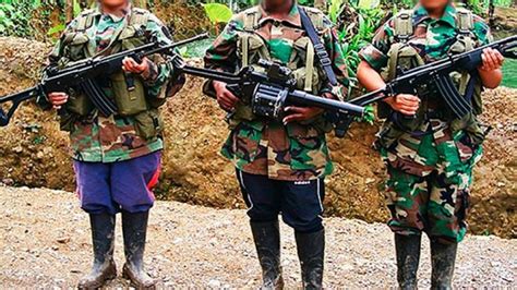 Farc Reclutó A 18 677 Niños Y Jóvenes Durante El Conflicto Armado