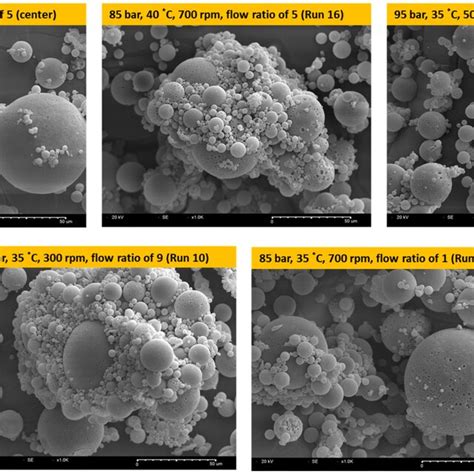 Scanning Electron Micrographs SEM Of Exenatideloaded PLGA