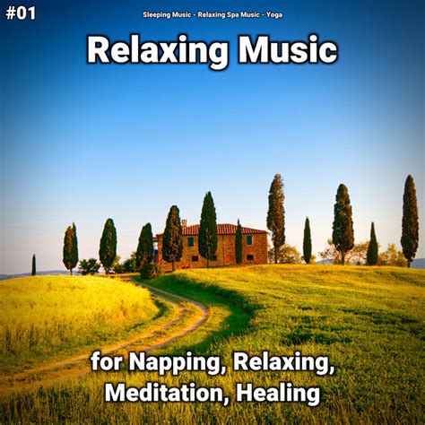 Relaxing Music For Napping Relaxing Meditation Healing Album