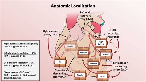 Pin On Cardiology And Related Fields