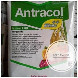 Jual Antracol 70 WP 1 Kg Fungisida Kontak Pembasmi Jamur Kota