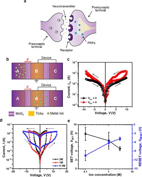 Electrical Characterizations Of The Neuromorphic Devices A Schematic