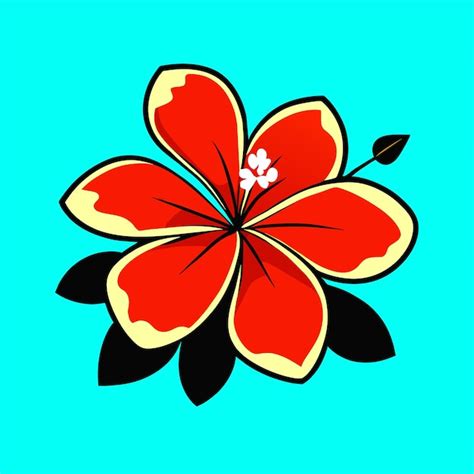 Premium Vector Hibiscus Flower Or Hibiscus Rosa Floral Flower Vector Illustration