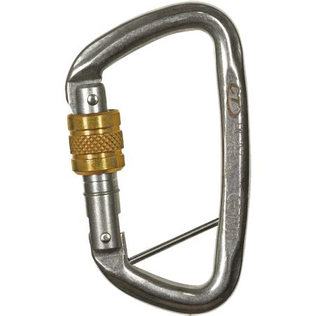 Mousqueton D Shape Inox Sg Avec Barrette Climbing Technology