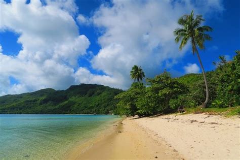 A Week In The Garden Of Eden In Huahine Island