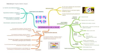 Determinantes De La Salud Image Image Image Elaborado Por