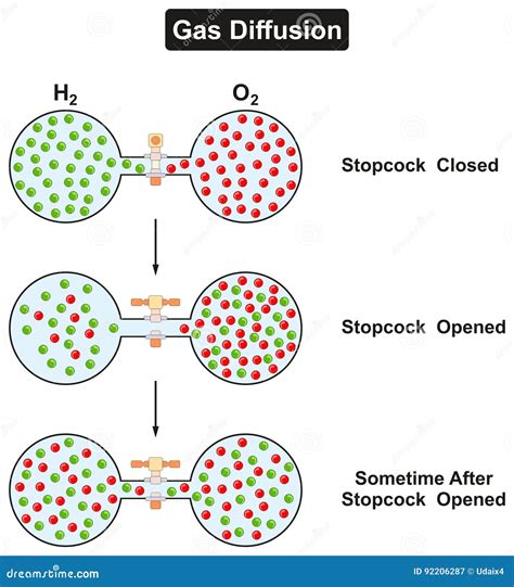 Gas Diffusion Phenomenon of Oxygen and Hydrogen Stock Vector - Illustration of matter, kinetic ...