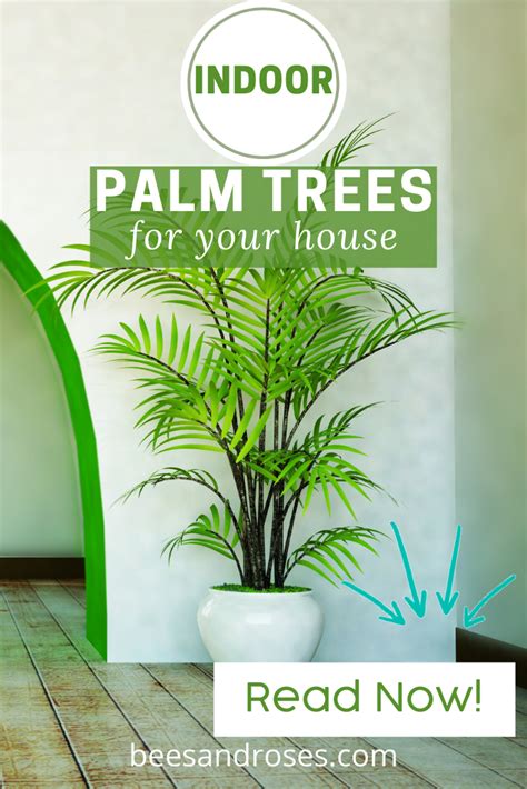 Indoor Palm Trees Care Types Houseplant Plant Guide Beesandroses Com Artofit