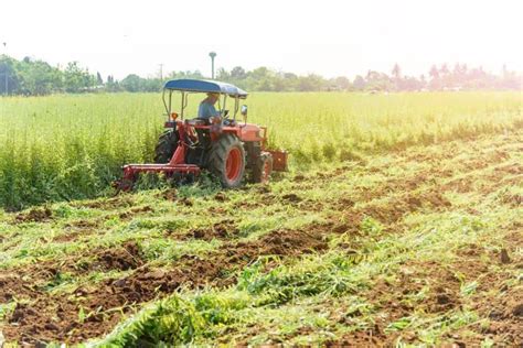 What Is Green Manure in Organic Farming? Definition in Agriculture ...