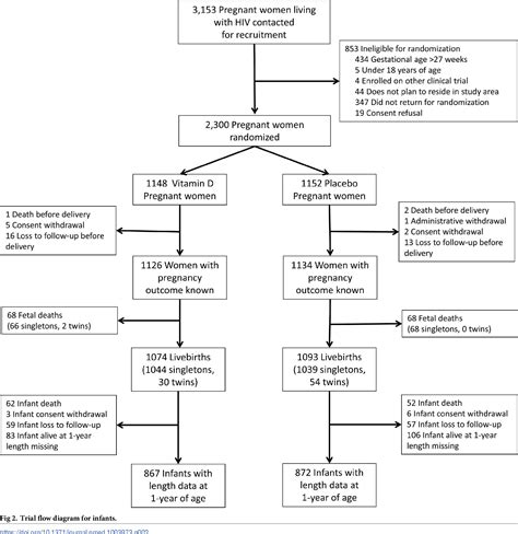 Figure 1 From Vitamin D3 Supplementation During Pregnancy And Lactation