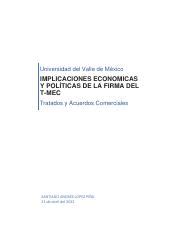 T Mec Ensayo Pdf Universidad Del Valle De M Xico Implicaciones