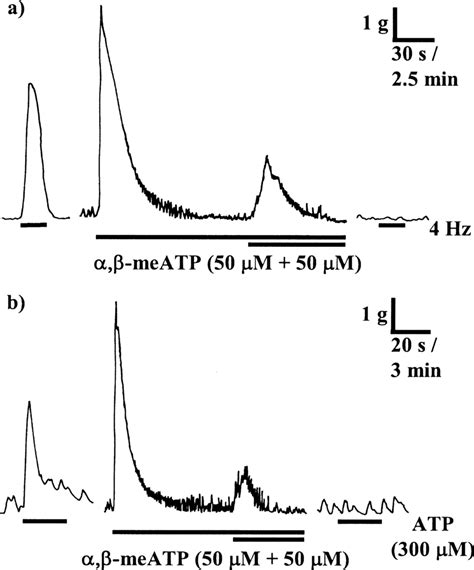 A B The Inhibitory Effects Of Prolonged Administration Of MeATP On