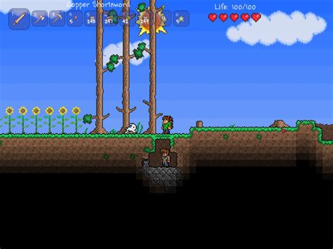 Really Old Terraria Screenshots - Terraria Photo (39052717) - Fanpop