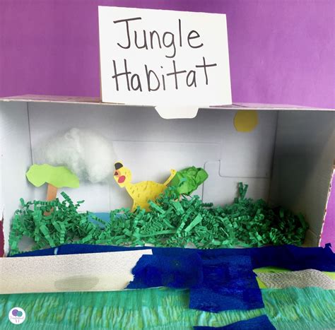 Animal Habitats A First Grade Research Project Firstieland