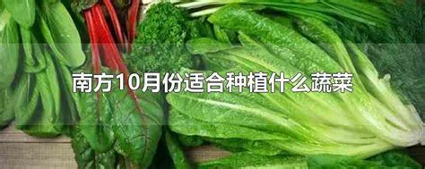 南方10月份适合种植什么蔬菜南方10月份适合种植香菜生活百科 博搜网