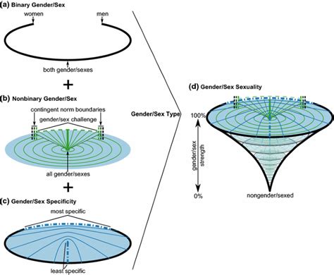 Beyond Sexual Orientation Integrating Gendersex And Diverse Sexualities Via Sexual