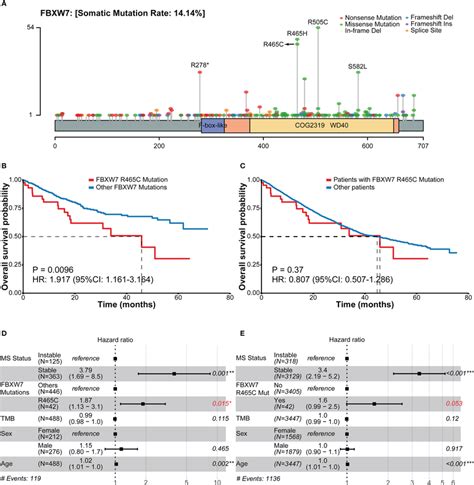 Frequencies Of Fbxw7 Mutation Sites And Related Overall Survival