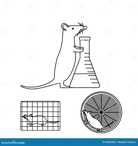 Mouse In Lab Experiments Stock Vector Illustration Of Mouse 84636959