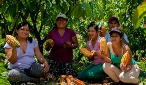 Ucayali Aprueba Estrategia Para Promover Biocomercio Con Enfoque