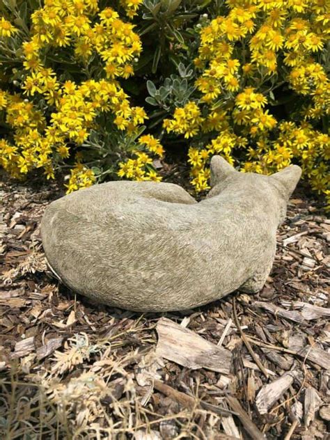 Curled Up Cat Stone Statue Burgess Home And Garden