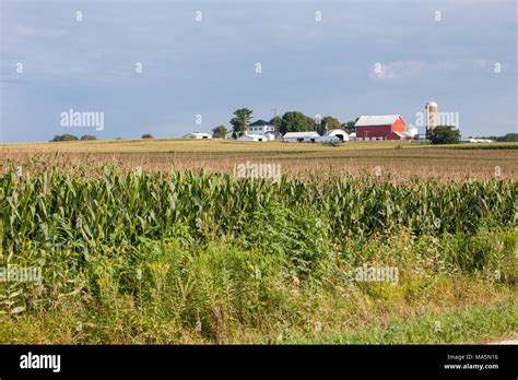 Corn Field Iowa High Resolution Stock Photography And Images Alamy