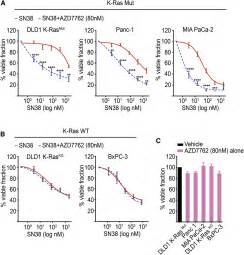 Wild Type H And N Ras Promote Mutant K Ras Driven Tumorigenesis By